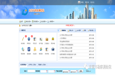 软件开发