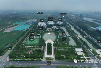 VR技术“赋能”全市体育场馆