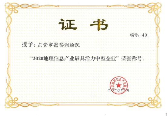 3、2020 地理信息产业最具活力中型企业（国奖）.png