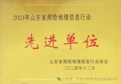 市勘测院有限公司荣获2024年省测绘地理信息行业先进单位荣誉称号1(1).jpg